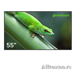 Дисплей профессиональный Geckotouch 55DH  фото