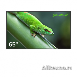 Дисплей профессиональный Geckotouch 65DF фото