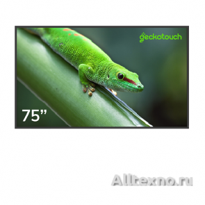Дисплей профессиональный Geckotouch 75DF  фото