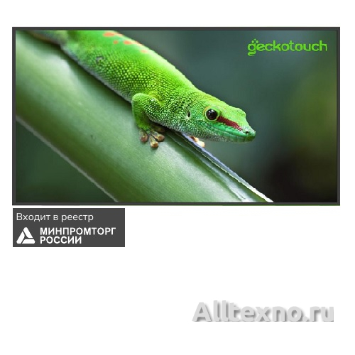 Дисплей профессиональный Geckotouch 65DCR. Включено в реестр Минпромторга России фото